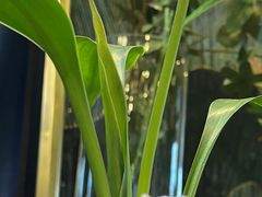 -大视光学•LINDBERG林德伯格•全球手工眼镜集合店(王府井店)