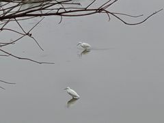 -怡海公园(桂城街道)