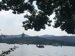 -西湖外事游船(花港观鱼码头)