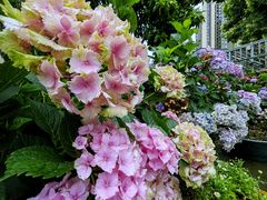 -凤来栖·净庭院·火锅(欧尚店)