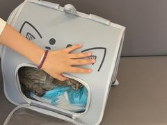 -瑞派伍一宠物医院·眼科·骨科·猫科转诊中心(马王堆院)