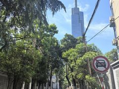 -紫峰大厦