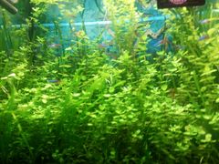 -奥斯卡新都汇影城(终级银幕)