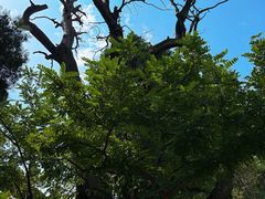 -尧庙景区