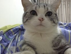 -合肥骄阳兰多产后恢复中心(天鹅湖万达店)