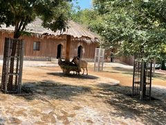 -石家庄市动物园