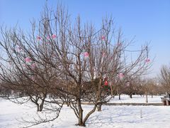 -长春公园(普阳街道)