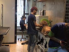 -御宝贝24h宠物医院·转诊中心·CT核磁血透中心(厦门总院)