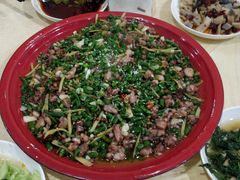 -东吴霸王兔(松青路店)