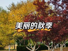 -南翠屏公园