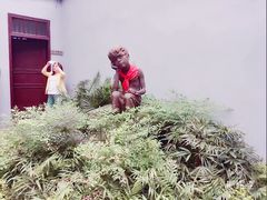 -白公馆