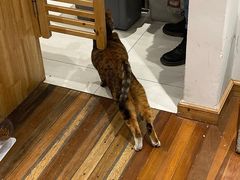 -猫的天空之城概念书店(杭州南宋御街店)