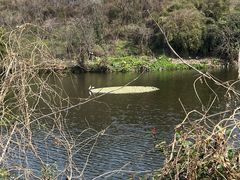 -重庆彩云湖湿地公园