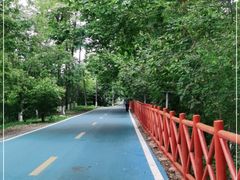 -夏河溪乡野公园