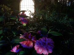 -T館·花园艺术餐厅