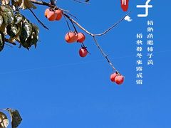 -竹泉农庄·竹筒饭(从化店)