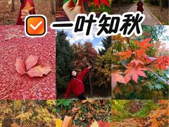 -长春市南湖公园