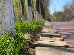 -大兴滨河森林公园