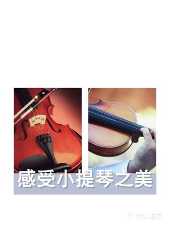 每次看到电视上交响乐团演出的时候就觉得拉小提琴的女生