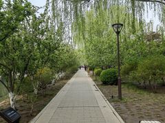 -元大都城垣遗址公园