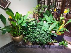 -鸢飞潍坊菜馆(鸢飞大酒店)