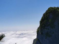 -秦岭天竺山景区