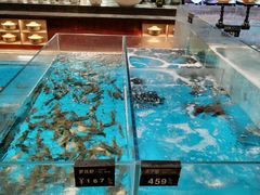 -艳阳天·非遗楚菜(武汉客厅店)