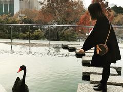 -行者书屋大堂吧 ·下午茶(南京圣和府邸酒店)