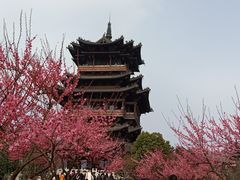 -杭州半山国家森林公园