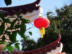 -荔枝公园(福田区)