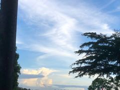 -点心传说·粤菜点心(佐阾虹湾店)