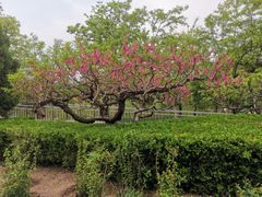-元大都城垣遗址公园