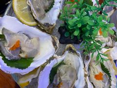 -千岛蚝高压锅生蚝·人参火锅(白云万达店)