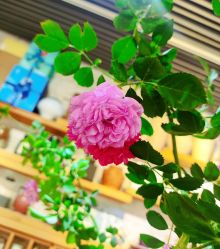 -今日陶艺(富力广场店)