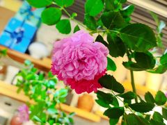 -今日陶艺(富力广场店)