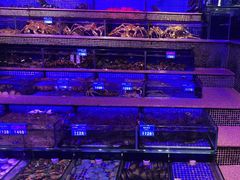 -青蓬蒸汽海鲜·深圳老字号·团建聚会(壹方城店)