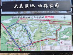 -盐城丹顶鹤湿地生态旅游区