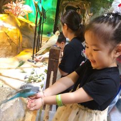 -酷嗒动物文化乐园(cutezoo西溪乐天城店)