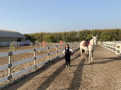 -月河湾马术俱乐部(朝阳店)