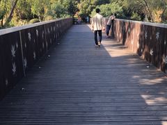 -南翔镇银翔湖公园