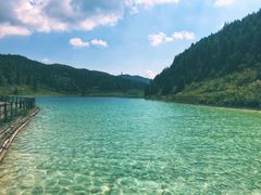 -武陵山森林公园