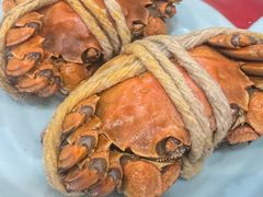 -蟹上黄·蟹黄面·江南糖水(人民广场店)