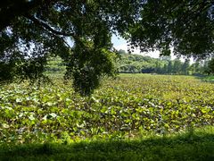 -李小龙乐园(顺德均安店)