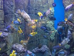 -成都浩海立方海洋公园