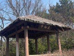 -宝界山林公园