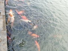 -珠海圆明新园
