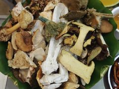 -野菌园·野生菌火锅首创第一家(关兴路总店)