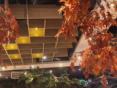 -南美豹国际自助百汇(万象城店)