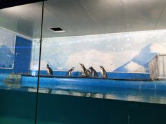 -重庆欢乐海底世界