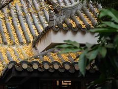 -钦善斋(武侯祠店)